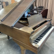 1925 Mahogany Steinway model M baby grand piano - Grand Pianos